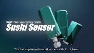 Road to Smart Manufacturing with Sushi Sensor and AI