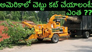 DO YOU KNOW HOW MUCH PRICE TO CUT THE TREE IN AMERICA? || Telugu Vlogs from USA||Telugu Vlogs