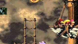 Donkey Kong Country 2 (Perfect Run): World 1, Level 5