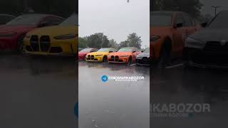 Bmw sila