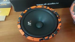 Распаковка DL Audio Gryphon Pro 200 Midbass