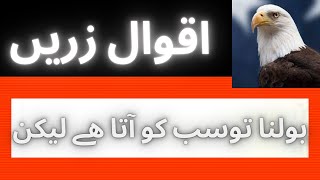 Amazing qoutes in urdu | aqwal e zareen | beautiful qoutes in urdu | collections of qoutes | #shorts