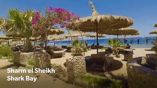 Sharm el Sheikh Dive - Shark Bay 2017 Butterfly Diving, Egypt Ägypten