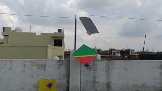 New trick to Catch Kites on roof | kite catching