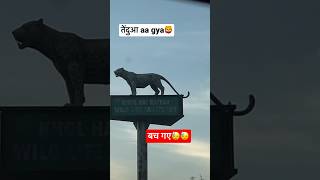 तेंदुआ aa gya🦁🥲 #animals #shorts #viralshorts