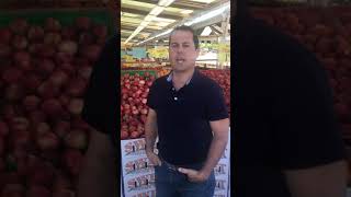 Robbie’s Summer 2018 Produce Picks