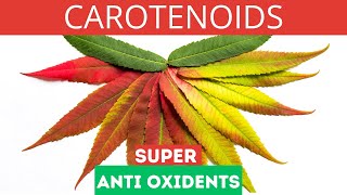 Carotenoids And Their Health Benefits | The Best Anti Oxidants