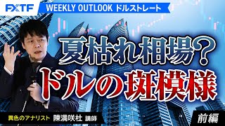 FX「夏枯れ相場？ドルの斑模様【前編】」陳満咲杜氏 2024/8/13