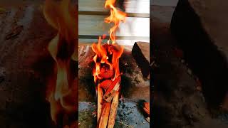 #fire #campfire #ilaiyaraja #melody #slowmotion #ilayarajasongs