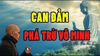 Nghe Lời Phật Dạy “Can Đảm Phá Trừ Vô Minh” Giúp Bạn Tỉnh Ngộ Nhiều Điều Trong Cuộc Sống. #Phật Pháp