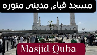 Masjid Vlog | Masjid Quba | مسجد فياء