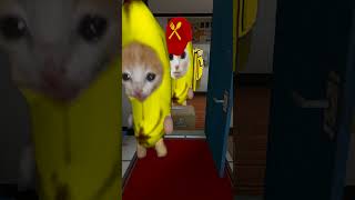 Hungry Bananacat Pt.2 #gmod 😺🍌