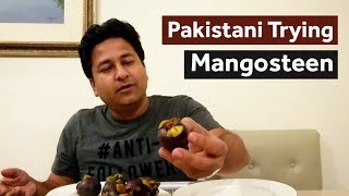 Malaysian Street Food | Pakistani Trying Mangosteen for The First Time