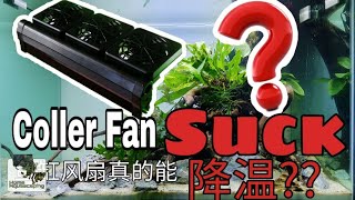 COOLER FAN SUCK? Effective or Useless | Review and test | 风扇真的能让鱼缸降温？还是只是浪费钱？