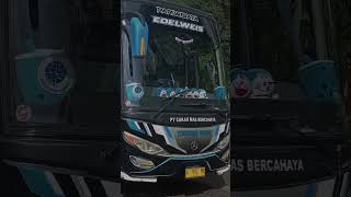 Beda PO ❌  Satu Nama Julukan Bus Edelweis ✅ PT. Cakar Mas Bercahaya dan Almaka Trans. #busmania.