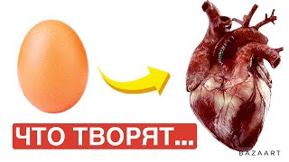 Что творят ЯЙЦА с сердцем...