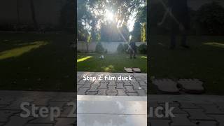 Exploding ducks