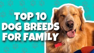 Top 10 Dog Breeds For Family With Kids (2020) | TOP 10 Friendly Dog Breeds  | Dogs As Art