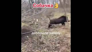 Приколы охота и рыбалка. Русская рыбалка. Приколы на рыбалке.   Приколы.  Приколы 2022  года.