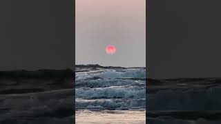 Beautiful View of Sunset and Sea #sunset #sunsetview #sea #beach #bagabeach #goa #shaam #shortvideo