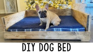 DIY Dog Bed and our New Furbo Dog Camera