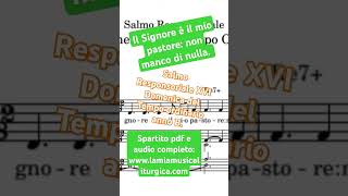 Il Signore è il mio pastore: non manco di nulla. Salmo Resp. XVI Domenica  Tempo Ordinario anno B