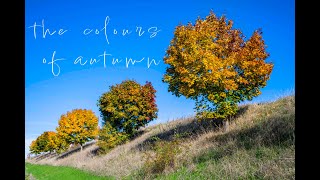 the colours of autumn - Herbstlandschaften aus der Luft 🍂🌳