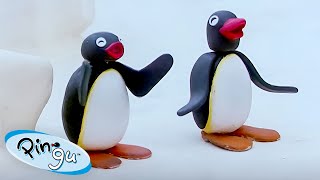 Pingu Causes Mischief 🐧 | Pingu - Official Channel | Cartoons For Kids