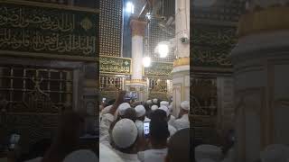 Roza e Rasool Madina #madinah #madinasharif #madinahalmunawwarah #madinahlive