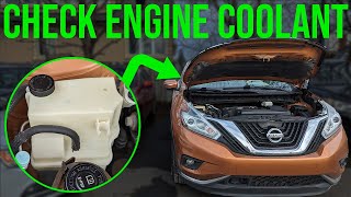 How to Check Coolant Level - Nissan Murano (2015-2024)