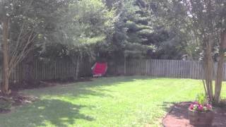 dad falling out of a hammock