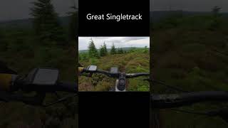 Kielder MTB - Bloody Bush Trail - Great Views #shorts #mtb #mtbover50 #mtbpov #emtb #mountainbike