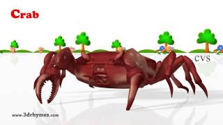 Learn Animals Song   3D Animation Animals Video for Kids