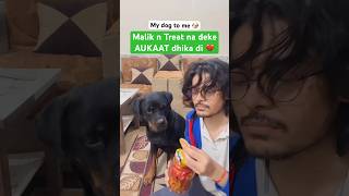 Malik ne Aukaat dika di | review reloaded shorts #dafa406 #shorts #rottweiler