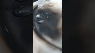 effect of smoke on water #shorts #experiment #smoke #water