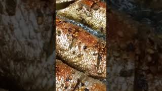 Frying red snapper fish