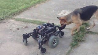 Testing Wheelchair and Sabertooth 2x25