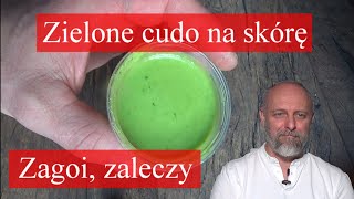 Kwietniowa maść z gwiazdnicy.