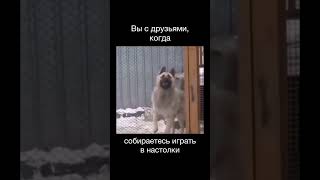 Узнали себя?