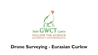 GWCT Cymru – Aerial Conservationists | Drone Surveying Eurasian Curlew