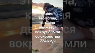 На закате… #закат #интересныефакты #финскийзалив #волна #солнцеушло  #sunrise