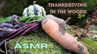 Rustic Wilderness Thanksgiving Feast ASMR: Cooking a Full Dinner Over an Open Fire