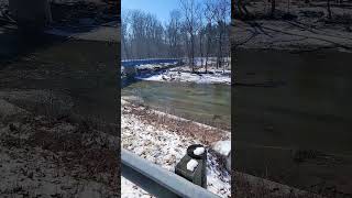 dancing and singing in the snow