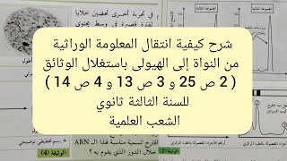 شرح كيفية انتقال المعلومة الوراثية من النواة إلى الهيولى باستغلال الوثائق 2 ص 25 و 3 ص 13 و 4 ص 14