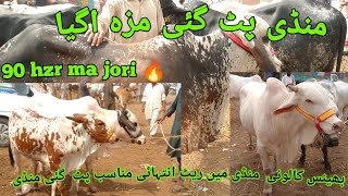 bhains colony catttle mandi latest update| Mashallah Goat FarmAwadh 2024 ka.palne wala.maal