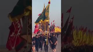 Arbaeen Walk Karbala | #arbaeen #arbaeenwalk #karbala #iran #muharram #shia #azadar #imamhussain