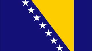 Bosnia and Herzegovina Flag