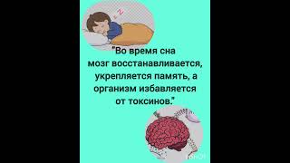 "Знаете ли вы, что мы тратим треть своей жизни на сон?"