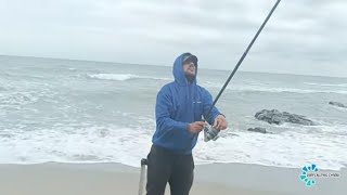 PESCA SURFCASTING PLAYA MIXTA EN BUSCA DE DEPREDADORES