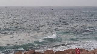 Yafo Port